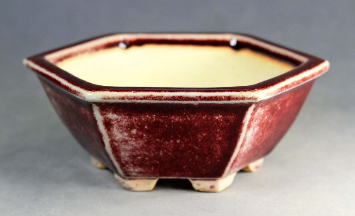 ❁KOOCHAN❁ Tokoname Hexagonal Bonsai Pot by Kouyou kiln, #A9480 : 144