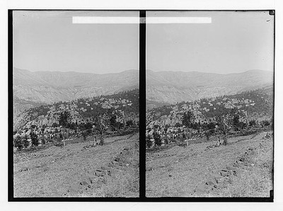 The cedars of Lebanon,Cedrus Libani Barr,Hasrun,distant view of cedars,c1910