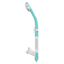 Mares Ergo Dry Snorkel Dive Scuba Free Diving White/Aqua 481053WHASA