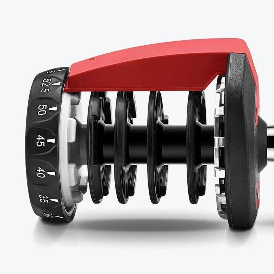 Bowflex Nautilus 552 Serie 1 Piastra #1 (1,4 libbre) Peso Manubrio di Bowflex Nautilus 552 Serie 1 Piastra #1 (1,4 libbre) Peso Manubrio di