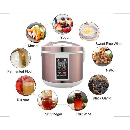 Fermentatore Aglio Nero Multifunzione Aglio Yogurt Natto Frutta Vino Salute 6L - Foto 1 di 6
