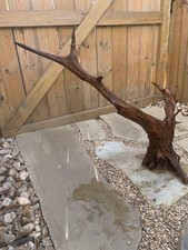 Large Natural Sinking Driftwood For Aquarium/Terrarium/Arts And Crafts
