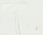 The Twelve Kingdoms Juuni Kokki Genga Douga Original Sketches Pierrot - Yuka — photo 8