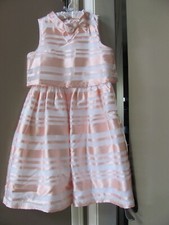 Janie And Jack Garden Brunch Pink White Organza Dress Size 12 YEARS EUC