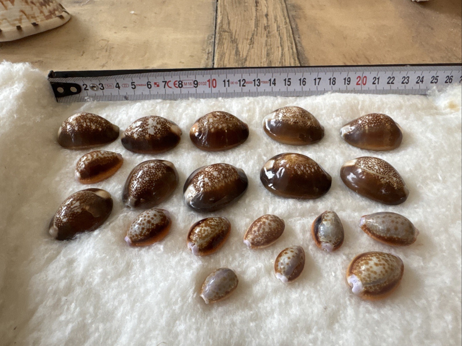 Picture 1 of 3