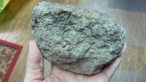 (DF843-108) 2 Pfund Fossil ECHTER DINOSAURIERKACKE Koprolit Dino Fossilien MIST Poo Scat - Bild 4 von 7