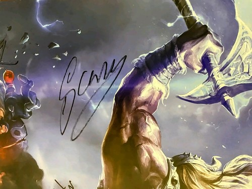 Signed 2013 LCS Promo Poster 40x28 Riot Games - Doublelift Meteos Imaqtpie - Picture 6 of 9