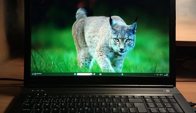 Dell  Precision  M 6700 mit  Nvidia Quadro m5000m Grafikkarte,   32 GB RAM