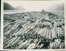 1965 Photo Norway Giant Raft Logs Timber Fleet Major Industry Seascape Ship 7X9