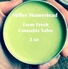 Cannabis Pain Relief Salve 2 oz Farm Fresh Organic Chemical Free Herb