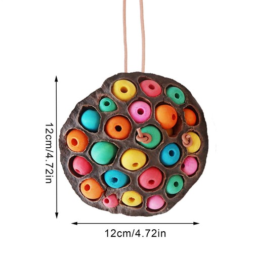 Natural Parrot Chew Toys Lotus Pod-shaped Parrot Biting Toys Parakeet Chew Toys - Picture 6 of 10
