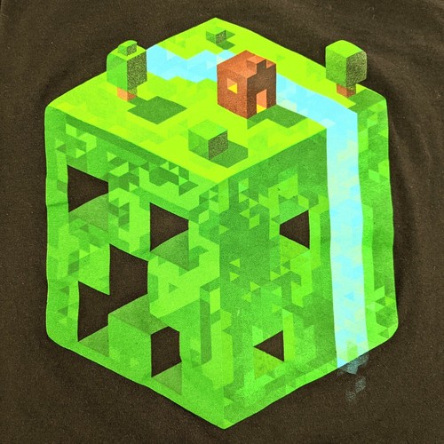 my mind minecraft