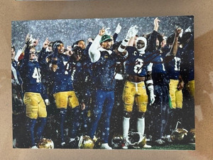 Marcus Freeman states Notre Dame views independent status as 'a