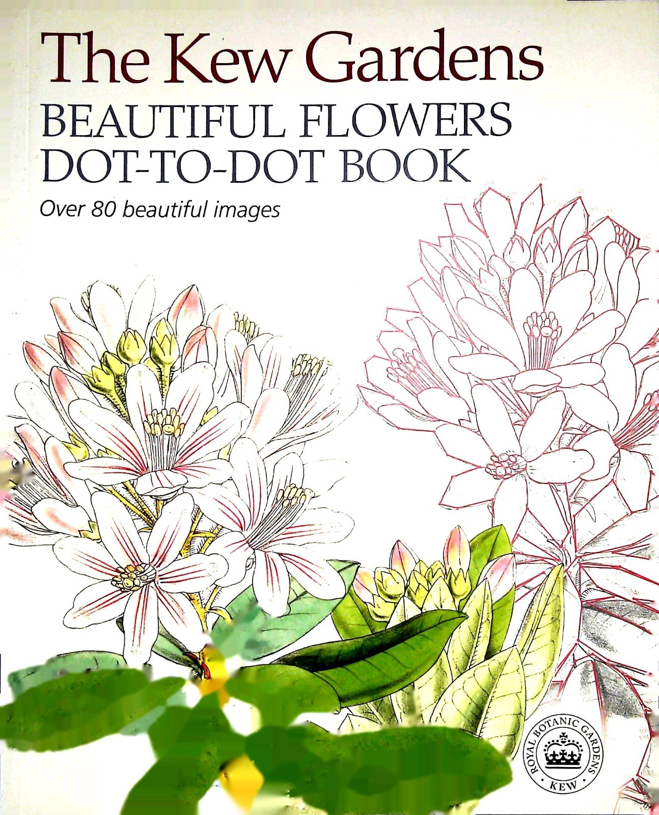 Beautiful Flowers Dot-to-Dot Colouring Book by Kew Gardens - 80 Images New