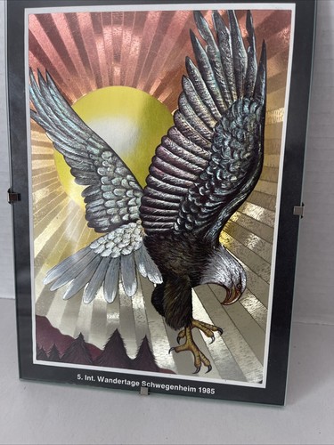 Adler Druck reflektierende Folie 5x7" Kunst unter Glas FJ Warren Dufex England - Bild 2 von 12