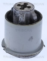 Triscan Lagerung AchsköRper 8500 25876 FüR Renault Megane 2 BM0 KM0 ScÉNic JM0