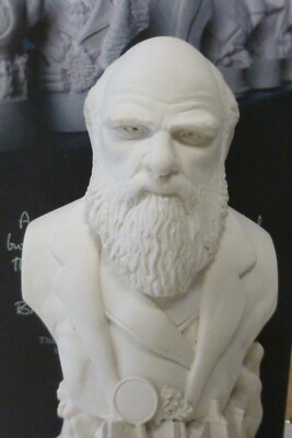 CHARLES DARWIN Gips Büste berühmte Gesichter Sammlung von Modern Souvenir Co. 