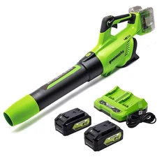 Greenworks 48V (2x24V) Axial Leaf Blower w/ 2 4Ah USB Battery & DualSlot Charger