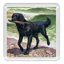 FLAT COATED RETRIEVER Dog Acrylic Coaster Novelty Drink Cup Mat Great Gift