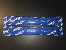 2 x Clearblue Rapid Detection Pregnancy Tests - Exp. 06/30/2028