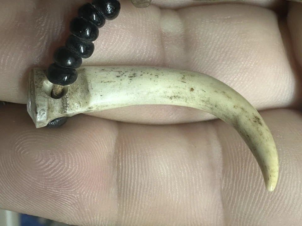 ANTIGUO CHAMÁN DAYAK Collar Mágico Garra de Leopardo, Diente, Madera Tallada/Colmillo Cornalina Foto 2 de 4