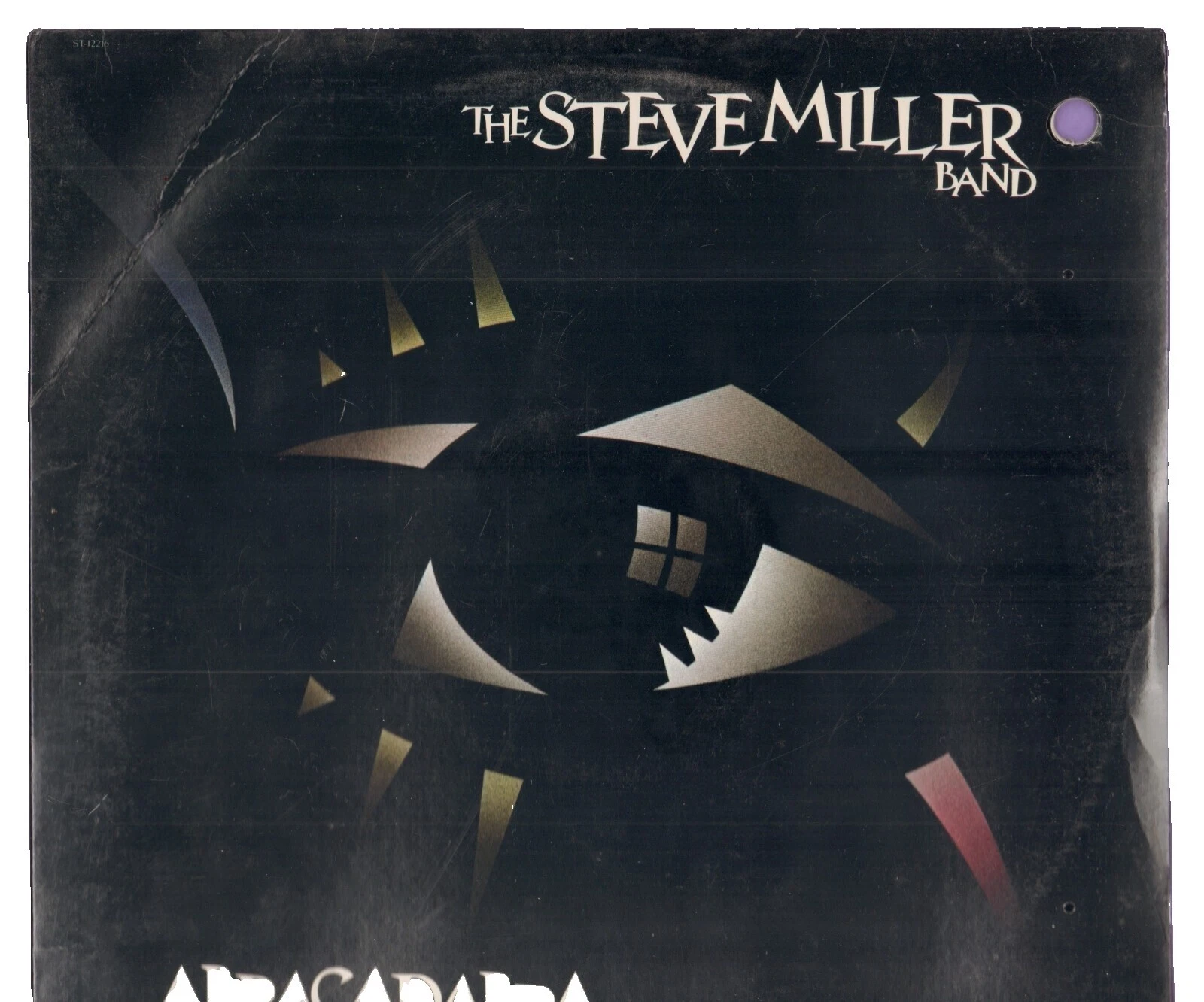 Discos de vinil Pop Steve Miller Band