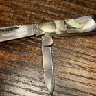 Bear & Bull Pearl Jacket Knife New In Box — photo 5