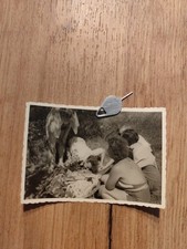  Akt Nackt Nude Frau Dame  Fotografie Foto Bild  Original 