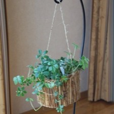 Bamboo Bark Basket 10-Pack  Outlet  Ships in a few days