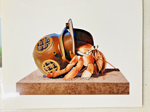 JOSH KEYES HERMIT Helmet Pop Art Print Tiny Showcase Limited Edition 2014 #205 - Picture 5 of 7