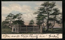 Ansichtskarte Lüneburger Heide, Bienenstand mit Besitzer 1904 