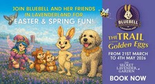 Bluebell in Lavender Land Family Ticket