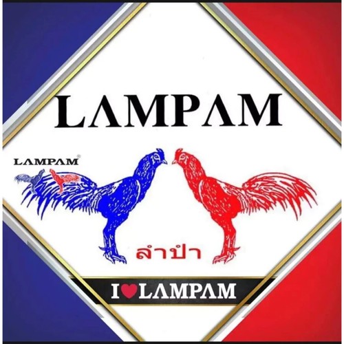1 SET of DOPING LAMPAM POWER COCK(S) SMALL SET CHICKEN ROOSTER VITAMIN - 第 7/7 張圖片