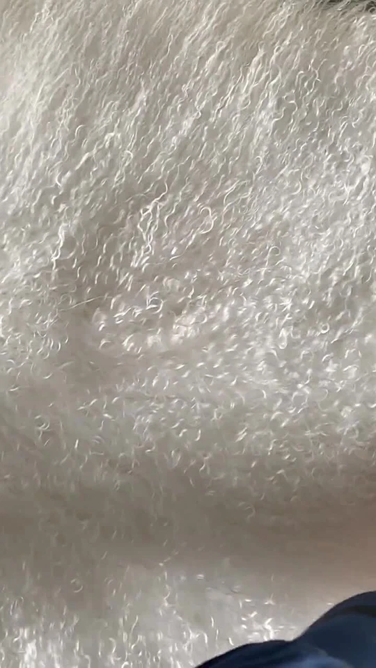 1 PIEZA ALFOMBRA MANTA PIEL DE CORDERO MONGOL PIEL DE OVEJA PIEL TIBETANA REAL BLANCA Foto 2 de 4