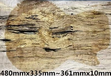 Figure Archtop Guitar Drop Top Spalted Maple Wood Worm-hole For Stabilized Make