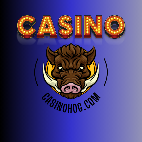 CASINOHOG.COM Premium Casino Domain 22 Yrs - Picture 1 of 1