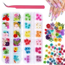 2 Boxes Dried Flowers for Nail Art, 3 Piece Set, Daffodil Hydrangea Daisy