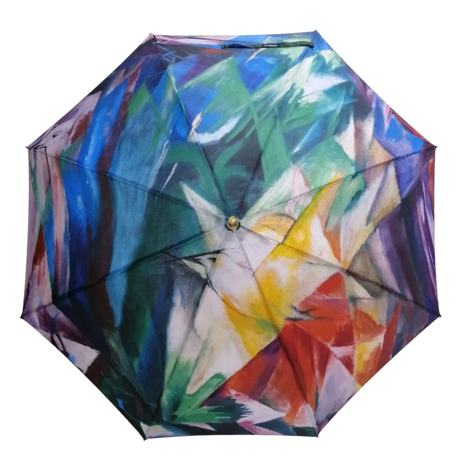 StormKing Auto Walking Artist Umbrella - Franz Marc Birds | Fibreglass Frame | W
