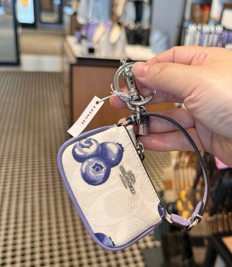NWT Coach Mini Nolita Bag Charm In Signature Canvas With Blueberry