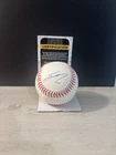 Sal Stewart Signed ROMLB Baseball Cincinnati Reds JSA COA