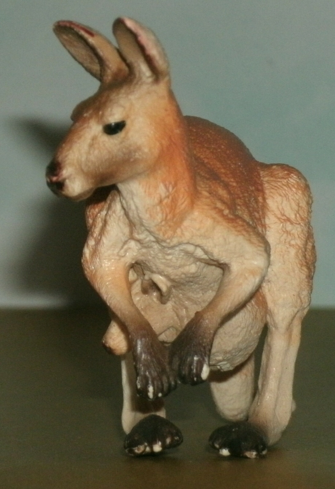 Picture 2 of 5