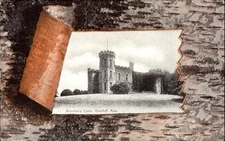 Winnikenic (Winnekenni) Castle ~ Haverhill Massachusetts MA ~ peel back bark