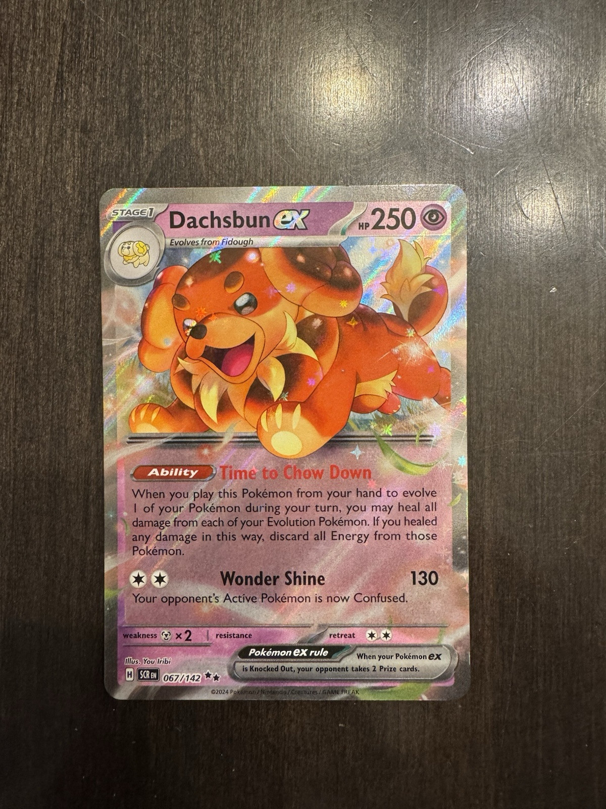 Dachsbun ex 067/142 Pokemon TCG Stellar Crown 2024 - HOLO - NM/Mint