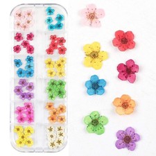 Dried Flowers for Nail Art CHANGAR Mini Real Natural Dry Flowers Sticker Deca...