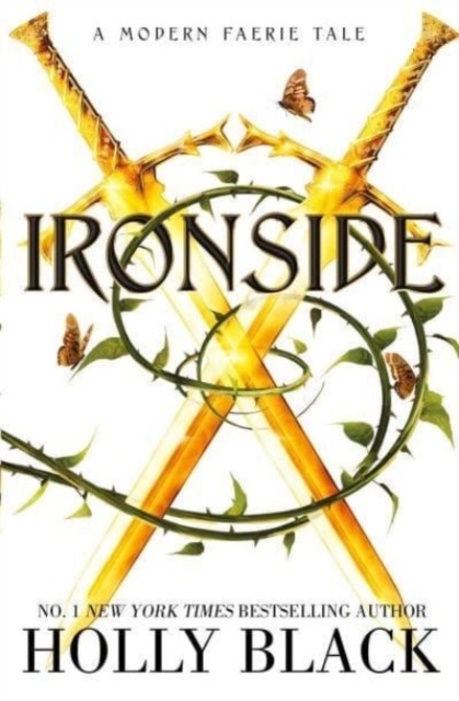 Ironside A Modern Faerie Tale by Holly Black (Paperback Book) - Image 5