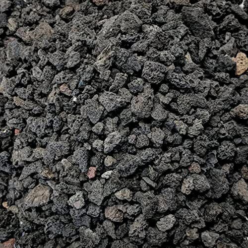 Black Lava Rocks for Plants Horticultural Volcanic Rock(1/4"to 1/2"Size)( (5-lb) - Picture 1 of 5