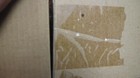 Bild 11 von 12