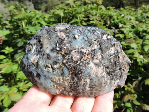 BLUE Solid Las Choyas Coconut Agate Lapidary Gem. Cut in half (2 lbs & 3 oz ) - Picture 10 of 22