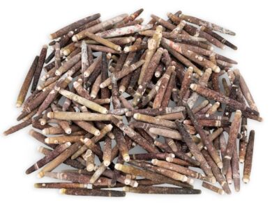 NaDeco Seeigelstachel 0,5kg, 4-8cm | Seeigel-Stachel | Muscheln und Schnecken