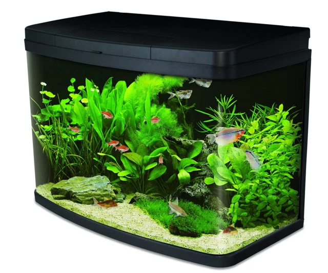 Glass Tank Bowfront Aquariums